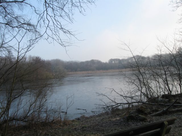 img_9643.jpg