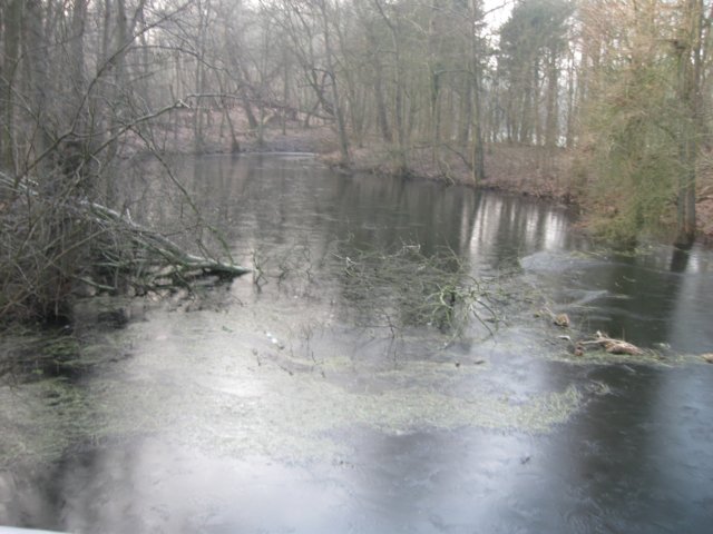 img_9644.jpg