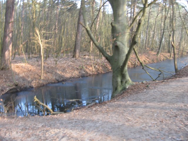 img_9652.jpg