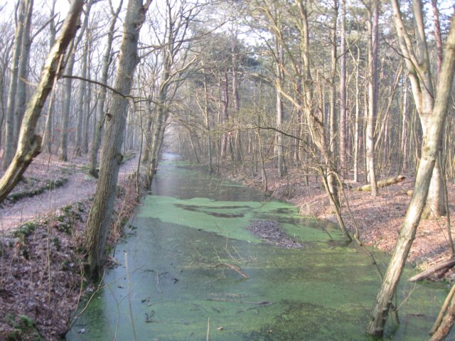 img_9653.jpg
