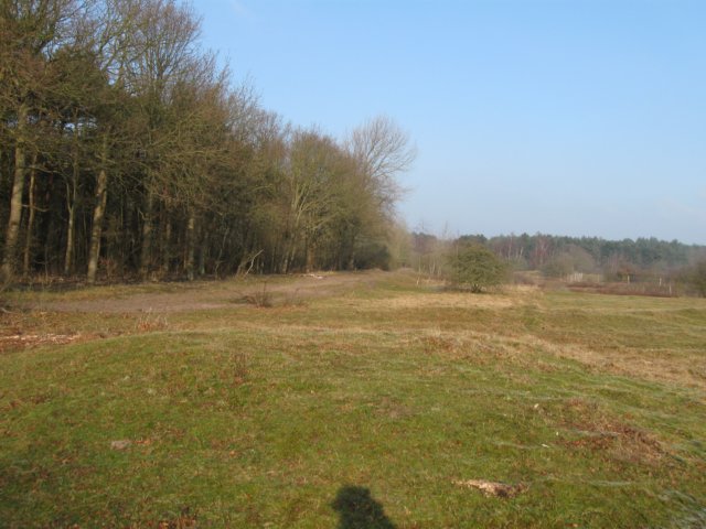 img_9654.jpg