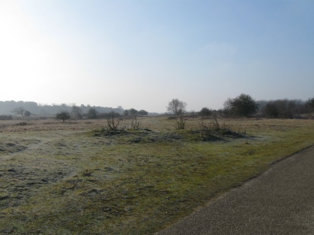 img_9655.jpg
