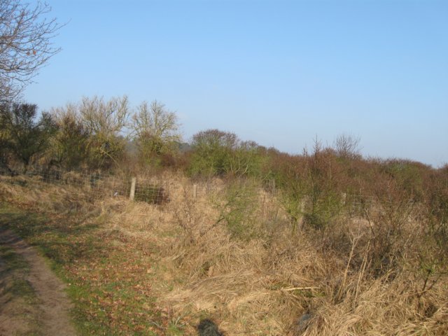 img_9659.jpg