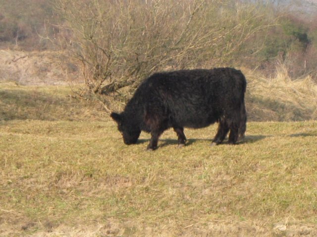 img_9675.jpg
