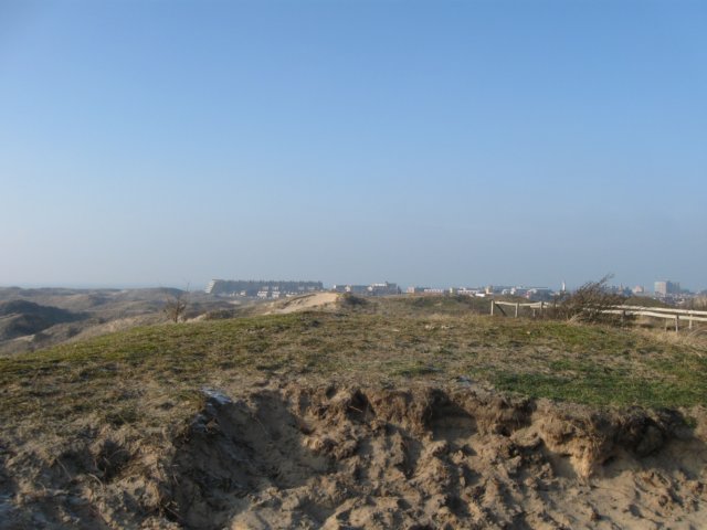 img_9682.jpg