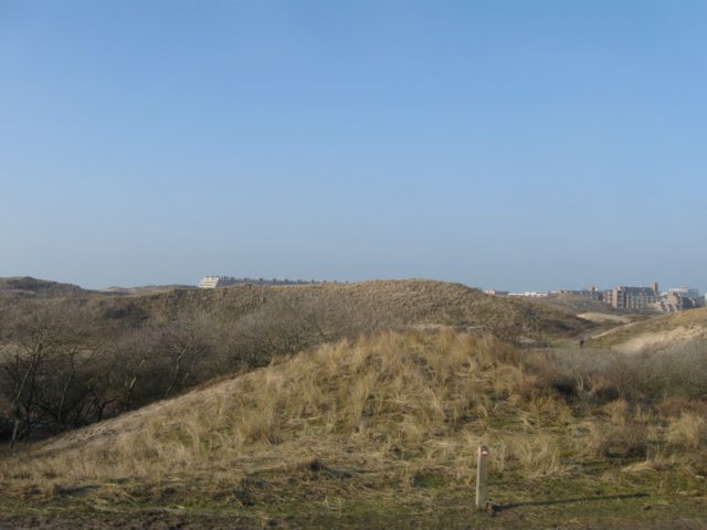 img_9686.jpg