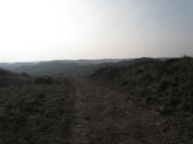 img_9690.jpg