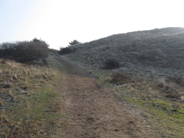 img_9692.jpg