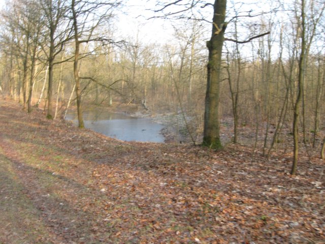 img_9694.jpg
