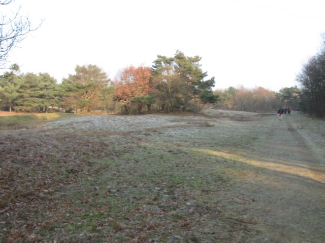 img_9695.jpg