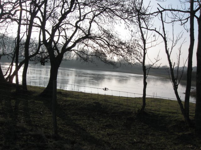 img_9703.jpg