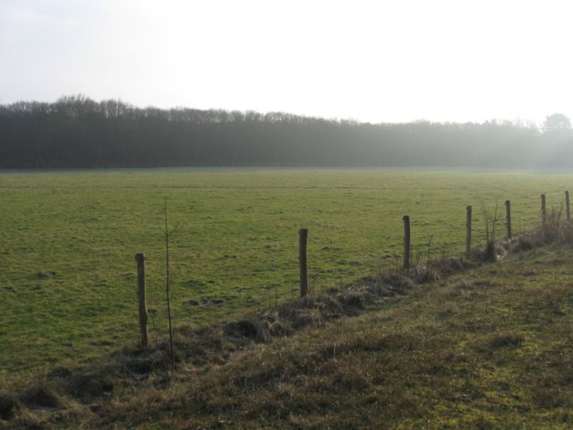 img_9706.jpg