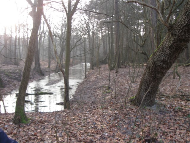 img_9707.jpg