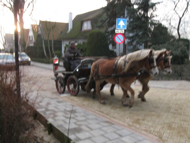 img_9718.jpg
