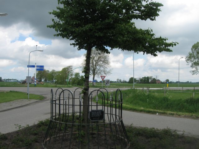 img_2238.jpg