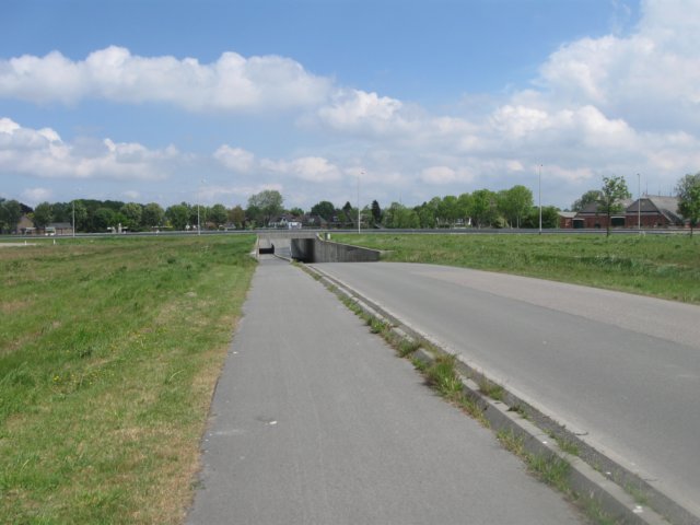 img_2261.jpg