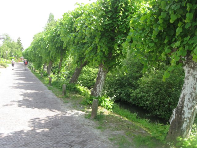 img_2292.jpg