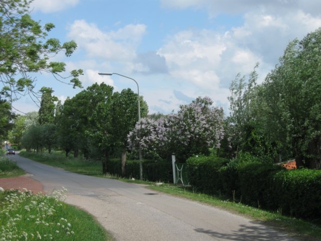 img_2307.jpg
