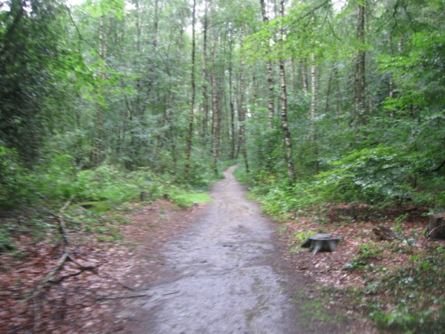 img_3644.jpg