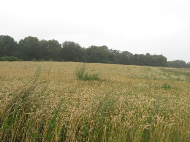img_3649.jpg