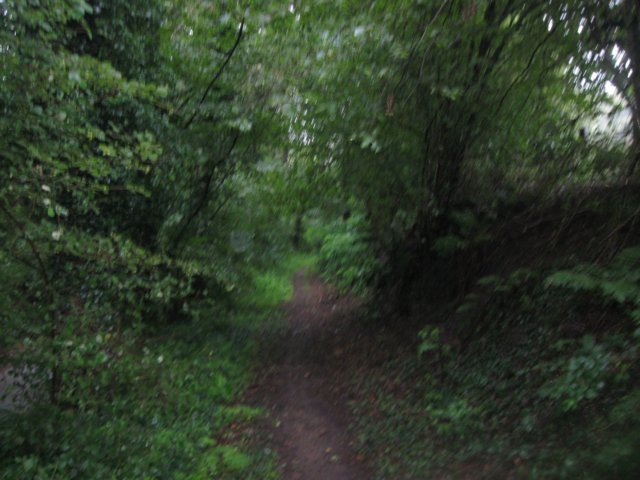 img_3650.jpg
