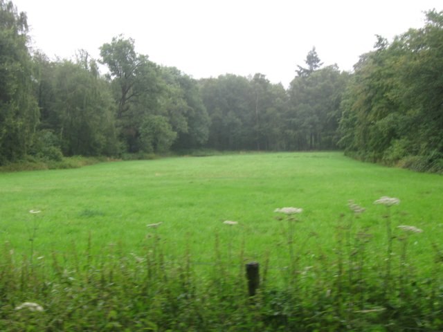 img_3658.jpg