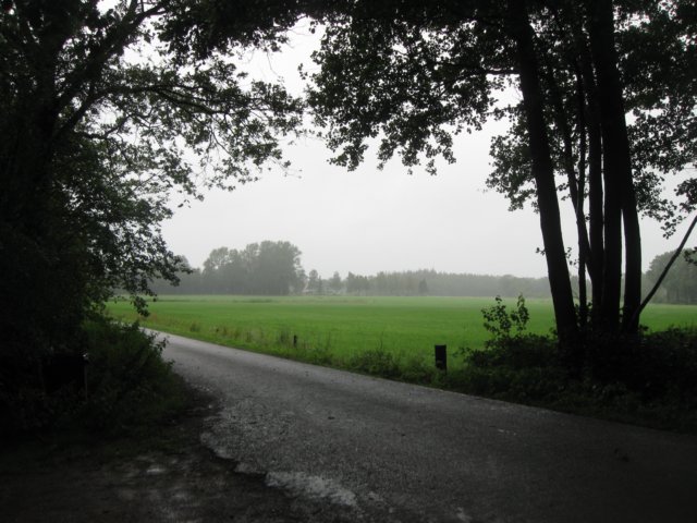 img_3663.jpg