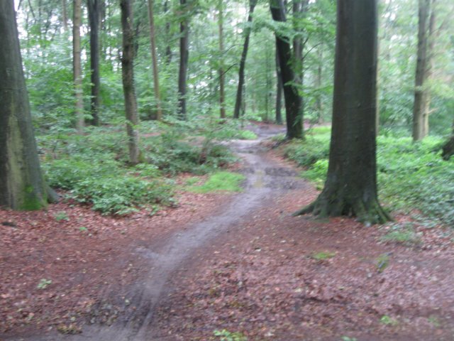 img_3666.jpg
