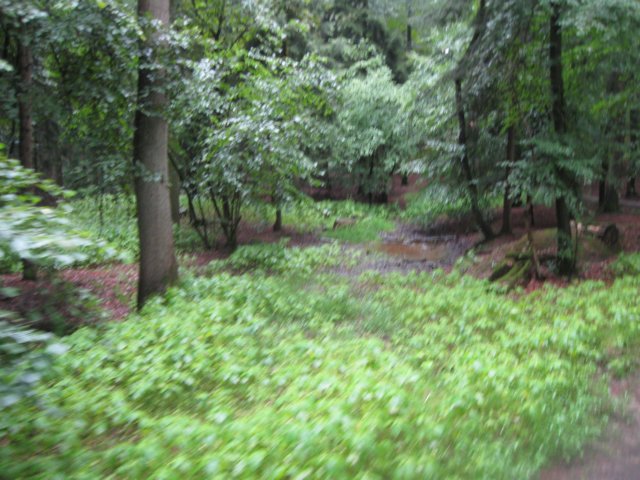 img_3667.jpg