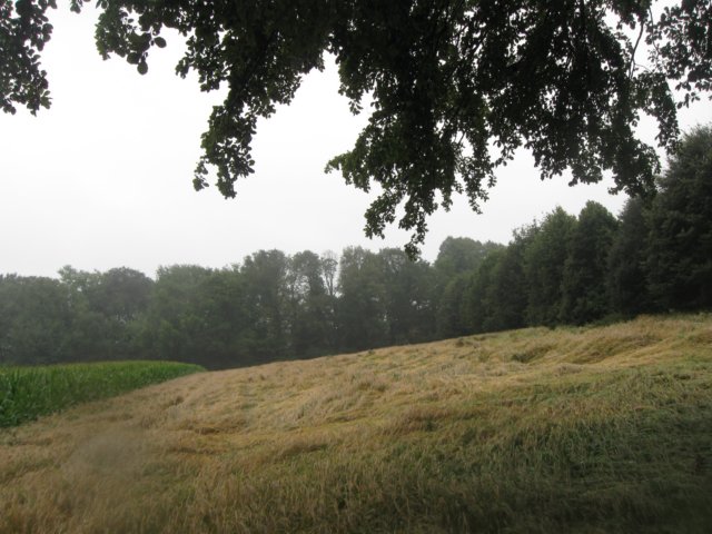 img_3677.jpg