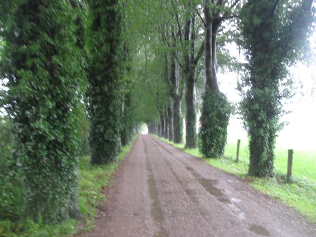 img_3680.jpg