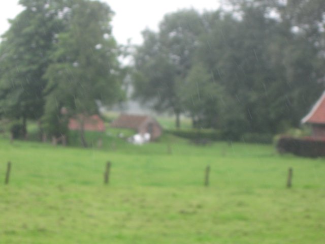 img_3682.jpg
