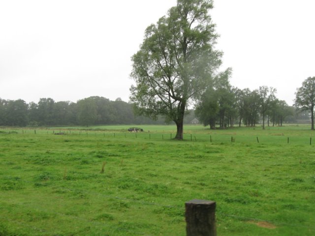 img_3689.jpg