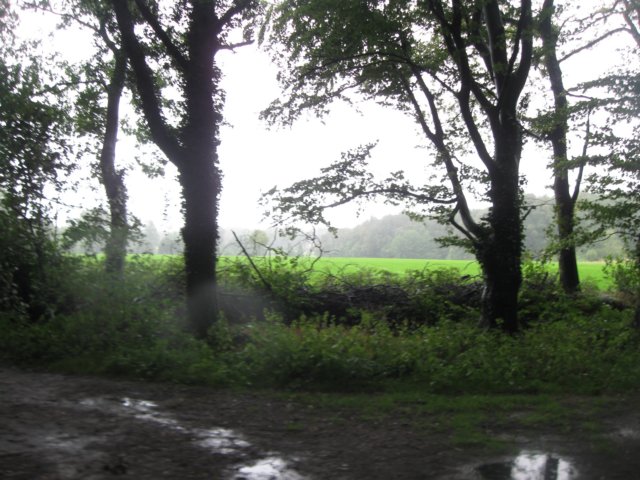 img_3694.jpg