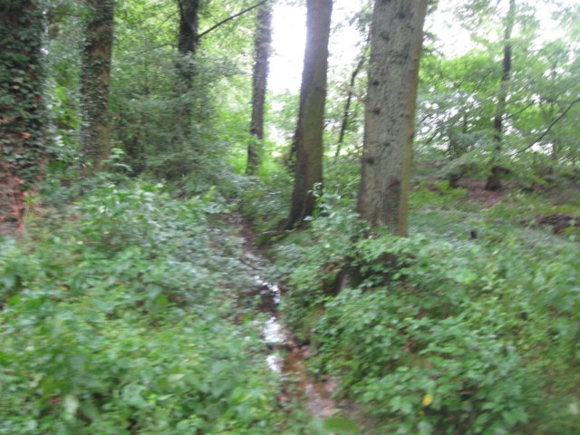 img_3695.jpg