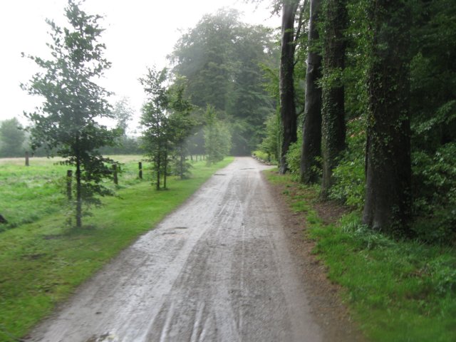 img_3699.jpg