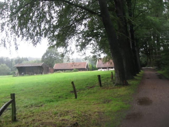 img_3700.jpg