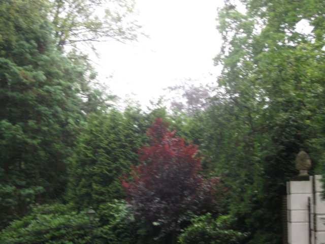 img_3702.jpg