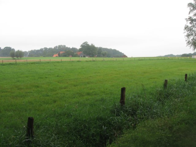 img_5159.jpg
