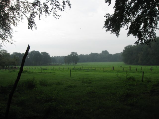 img_5165.jpg
