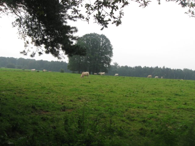 img_5170.jpg