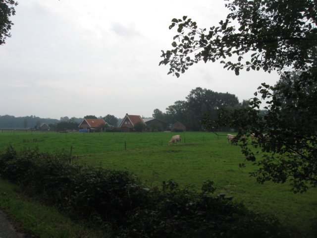 img_5173.jpg