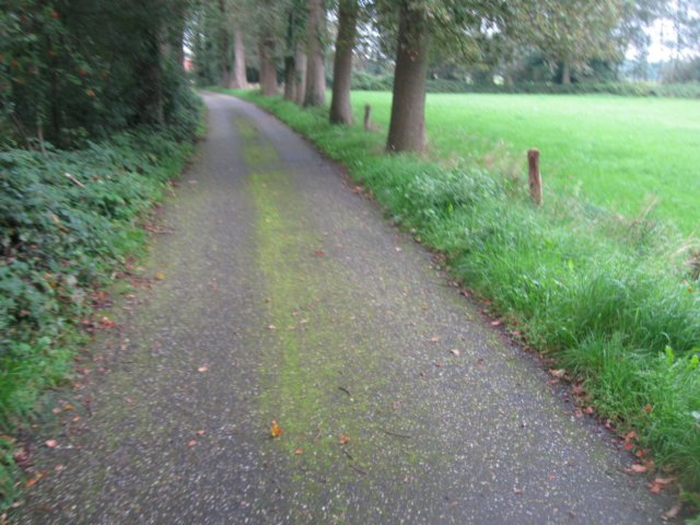 img_5178.jpg