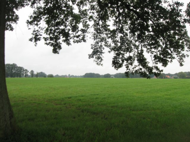 img_5180.jpg