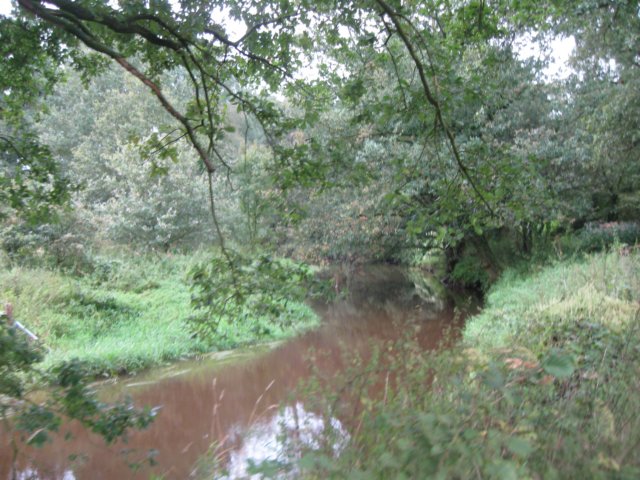 img_5186.jpg