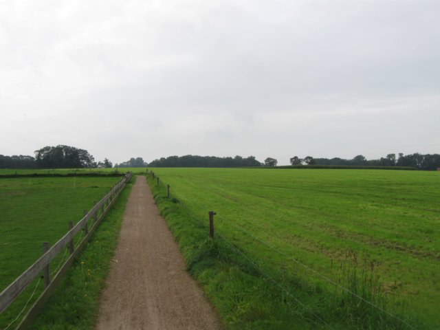 img_5190.jpg