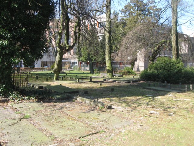 img_1324.jpg
