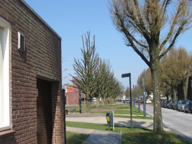 img_1334.jpg