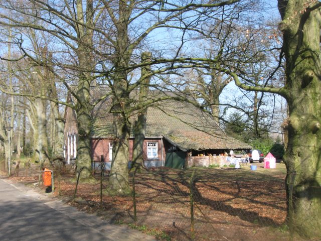 img_1350.jpg