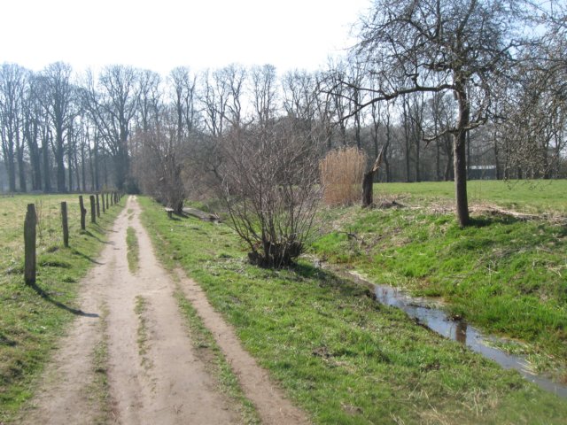 img_1355.jpg